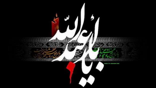  به درستی که حسین (ع) چراغ هدایت و کشتی نجات است