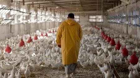 ۴ رسته شغلی به کسب و کار آسیب دیده از کرونا اضافه شد 