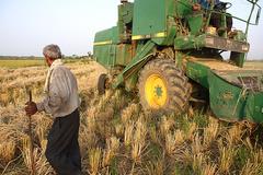 رییس مرکز توسعه مکانیزاسیون کشاورزی خبر داد رونق مکانیزاسیون در برداشت برنج