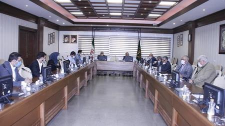 مجری طرح گندم وزارت جهاد: کشت گندم دوروم در کشور توسعه می یابد