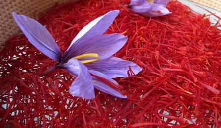 دستیابی محققان به نانو محصول ضد سرطان با ماده موثره زعفران