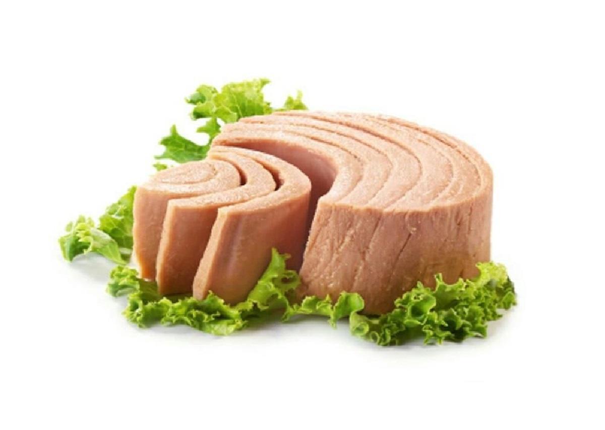 کنسرو ماهی هم گران میشود؟ مدیرکل دفتر بهبود کیفیت، فرآوری و توسعه بازار آبزیان سازمان شیلات ایران مطرح کرد: