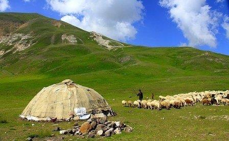 رئیس سازمان امور عشایر ایران خبر داد: بودجه سازمان امور عشایر چقدر است؟