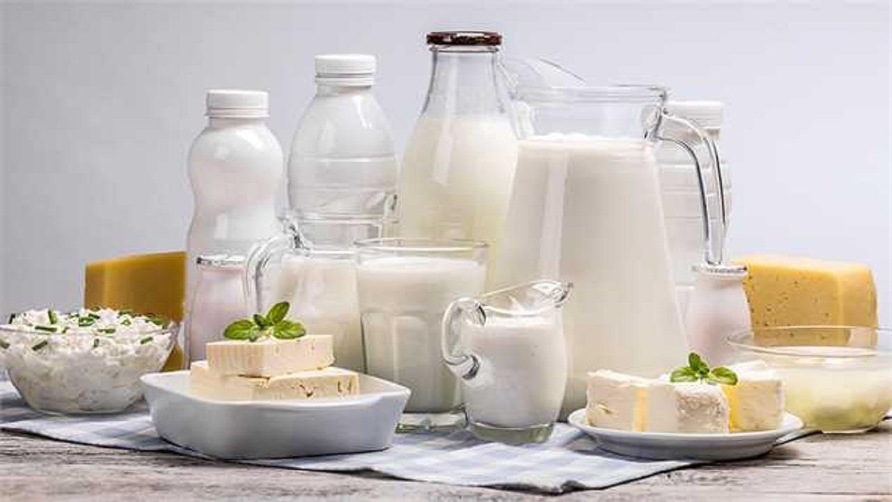 لبنیات گرانتر میشود؟ هزینه های بالای تولید علت اصلی گرانی ۵۰ درصدی لبنیات