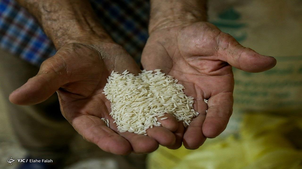 استمرار دوره ممنوعیت واردات بر آشفتگی بازار دامن می زند گرانی برنج ادامه‌دار شد؛ علت التهاب بازار چیست؟ 