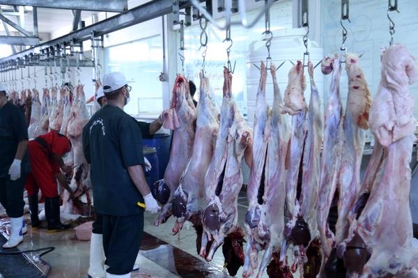 مردم مصرف گوشت گوسفندی را حذف کردهاند جمعیت سه فصل دام روی دست دامدار مانده است