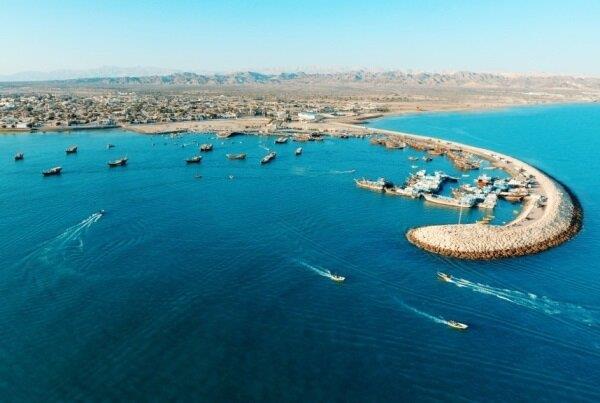 رهاسازی ۳۰۵ میلیون قطعه بچه ماهی در دریای خزر و خلیج فارس در سال جاری انجام گرفت؛