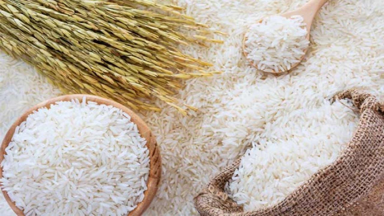 قیمت جهانی برنج هندی افزایش یافت افزایش قیمت برنج در سایه کاهش ۲۰ درصدی تولید 