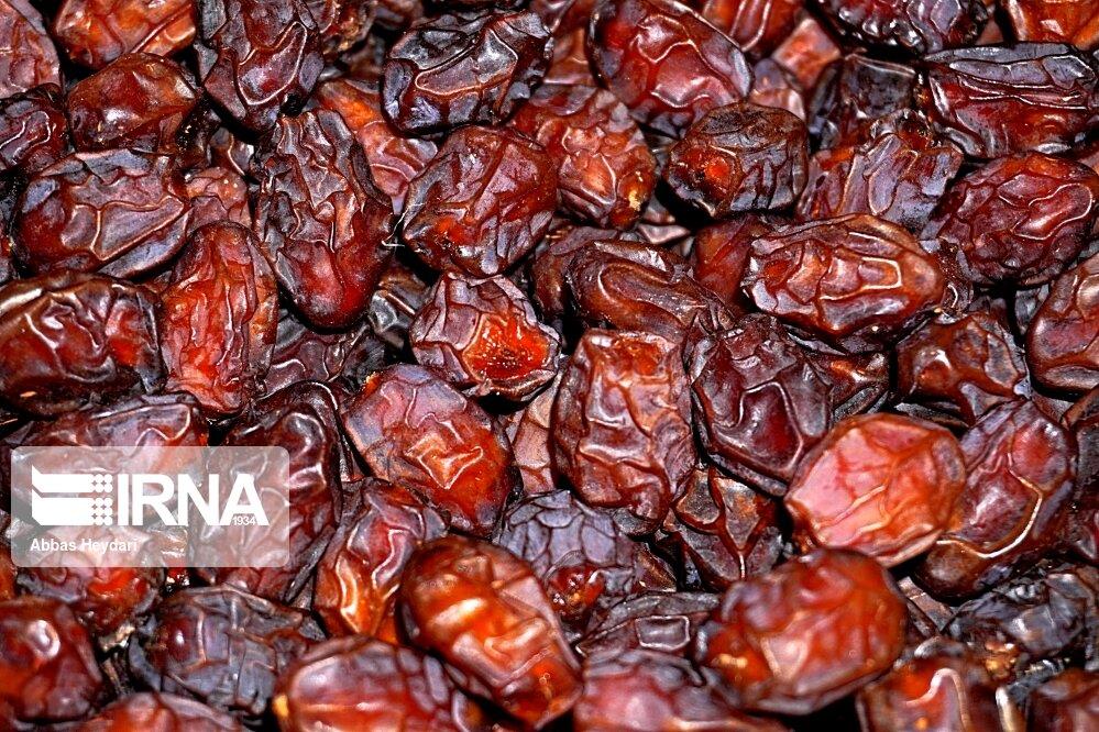 ۶ واریته خرمای ایران ثبت جهانی شدهاست