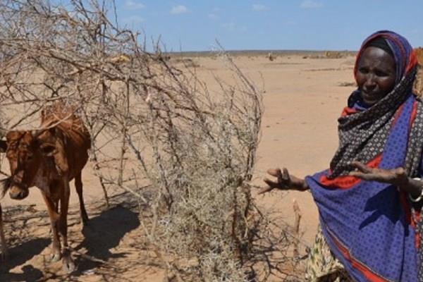 درگیری دنیا با خشکسالی و بیآبی تغییرات آب و هوایی همه چیز را به هم زده است