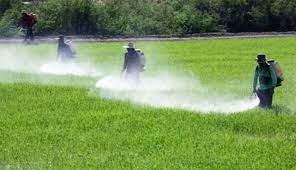 مرگ سالانه ۳۴۶ هزار نفر بر اثر آفتکشهای شیمیایی