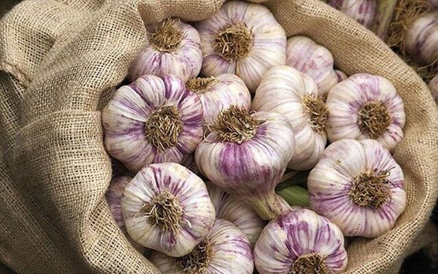 ثبت جهانی سیر همدان در آینده نزدیک