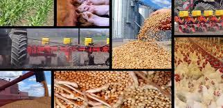 موثرترین راهکارها برای حذف ارز ترجیحی با کمترین تبعات