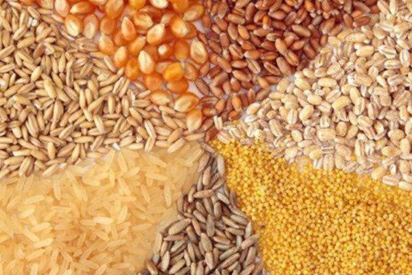 افزایش۶۰ درصدی توزیع نهادههای دامی