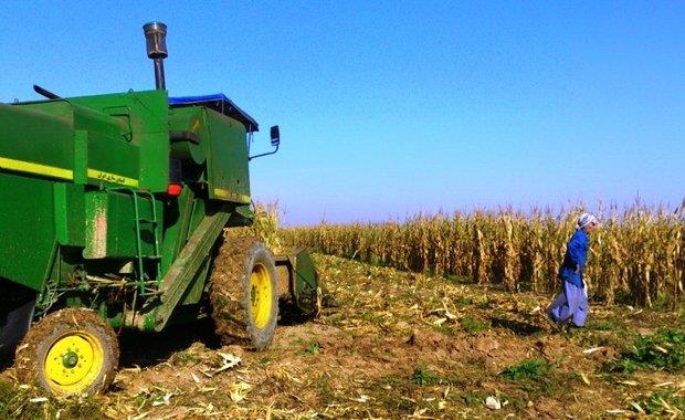  فائو خواستار تقویت تنوع زیستی کشاورزی در ایران شد