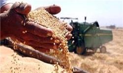 بر اساس گزارش شاخص ارزیابی تحقق سیاست‌های کلی اقتصاد مقاومتی ظرفیت سیلوهای مواد غذایی بر اساس تعداد سال‌های خشک متوالی باشد