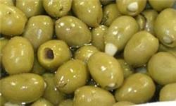 مجری طرح زیتون : طرح پرداخت یارانه به تولید روغن زیتون در دستور کار قرار گرفت