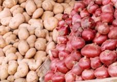 وزارت جهاد کشاورزی تولید 7 میلیون تن سیب‌زمینی و پیاز