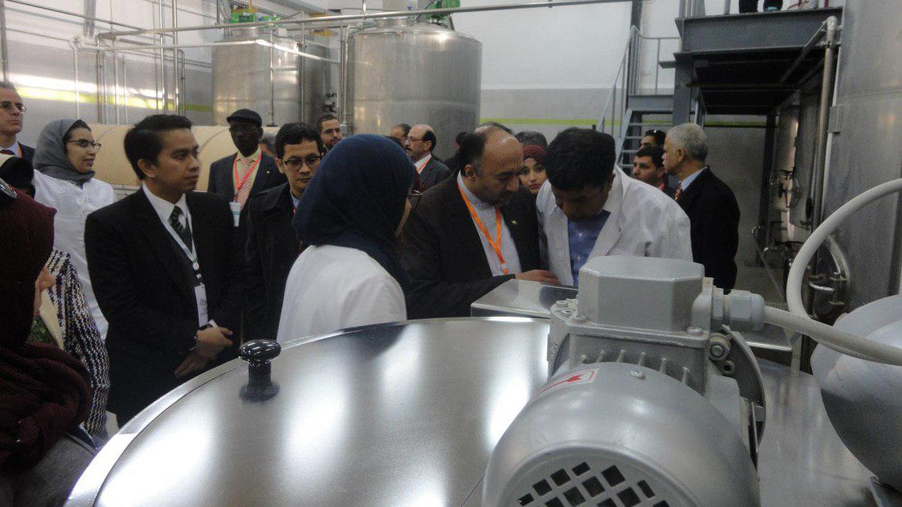 نخستین کارخانه تولید شکر از خرما در الجزایر با فناوری ایرانی افتتاح شد